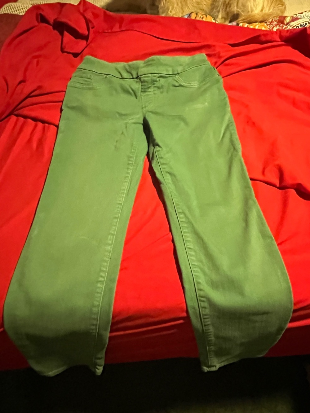 Chico’s Green Jeggings